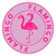 Flamingo-Flamingo Coin