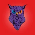 THE OWL OF THE METAVERSE