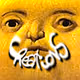 Pleb's Creations