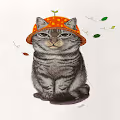 Luffy is a cat