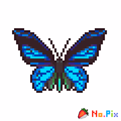 HUNFELT BUTTERFLY