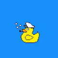 Rubbadub Ducks