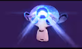 Transcendent Chimp Collection