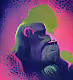 PakistaniBoredApe