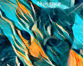 Nuisance the Cat