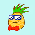 YoPineappleHead Collection