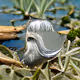 Silver Bearded Lagoon