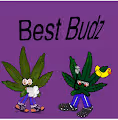 BestBudz01