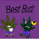 BestBudz01