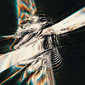 Connection Initiated