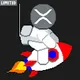 Limited Spacer