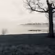 The beauty of now