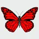 Crypto_Butterflies