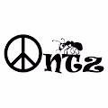 PolyPeace Antz