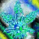Cryptography Entertainment