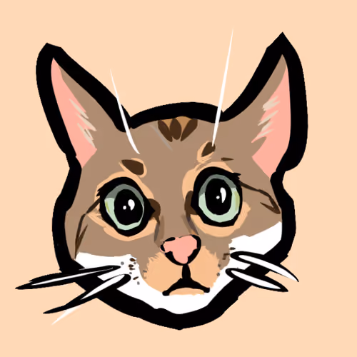 my cat