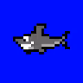 Stinky Shark Lambo Club (SSLC)