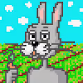 crypt_yumyum