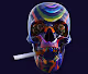 collectibles colored skulls