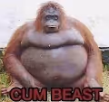 CUM BEASTS
