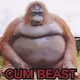 CUM BEASTS