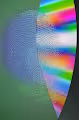 NONFUNGIBLE FINGERPRINTS