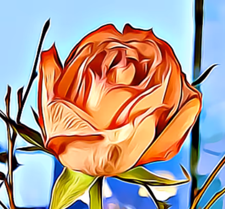 landscape and fl0wers