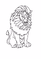 crazy colorful animals Special thanks