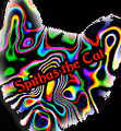 Spithas the Cat