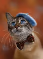 Cute cats - Yh05HKPNgH