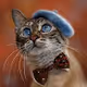 Cute cats - Yh05HKPNgH