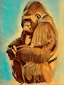 Relaxed Gorilla