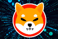 Shiba Dog Collection Art