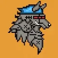 Crypto Wolfss
