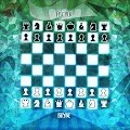ChessMasterArt