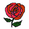First Rose