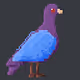 Project: Pigeon Colabs
