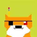 BIT FOXS