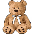 Teddy Bears IL