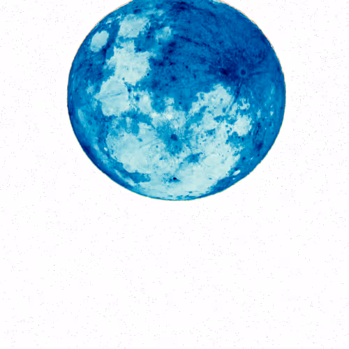 I Give You The Moon