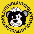VOLANTE.P