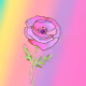 Poppy 2
