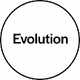 Humans Evolution