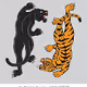 TigerKings