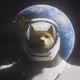 DogeOnTheMoon