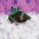 Dream Toads