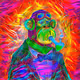 Phat Ape Club Fusions