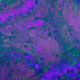 zospours.lens-Collect-4110
