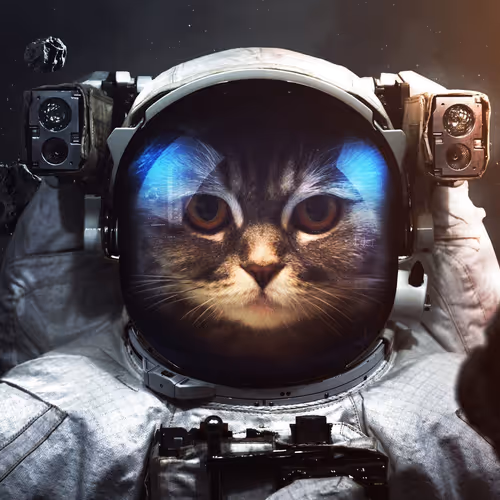 Cosmocat V3