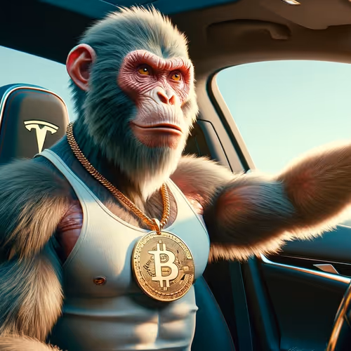 TESLA LOViNG BTC MONKEY